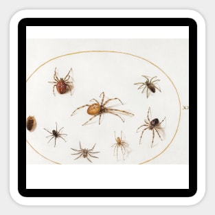 Seven Spiders and an Insect (1575–1580) painting  by Joris Hoefnagel Sticker